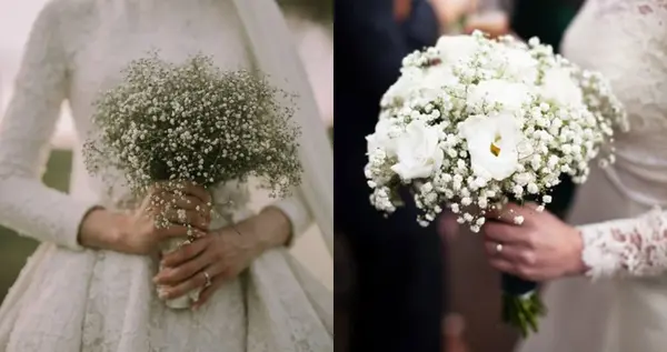 عکس دسته گل های ژیپسوفیلا