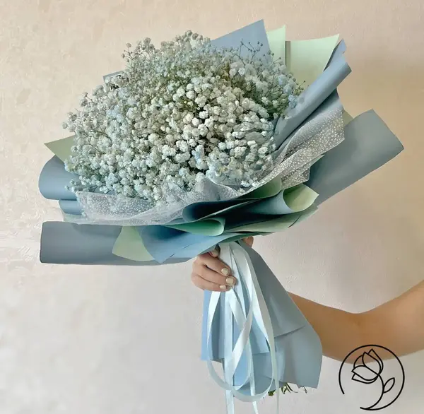 عکس دسته گل های ژیپسوفیلا