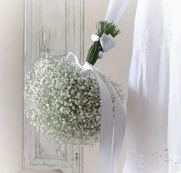 عکس دسته گل های ژیپسوفیلا