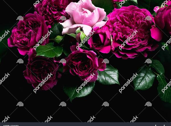 عکس دسته گل های بزرگ