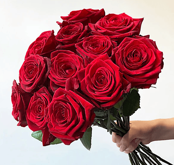 عکس دسته گل های بزرگ