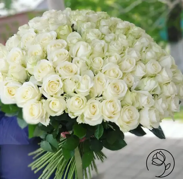 عکس دسته گل مخصوص ولنتاین