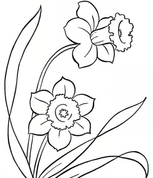 عکس نقاشی دسته گل ساده