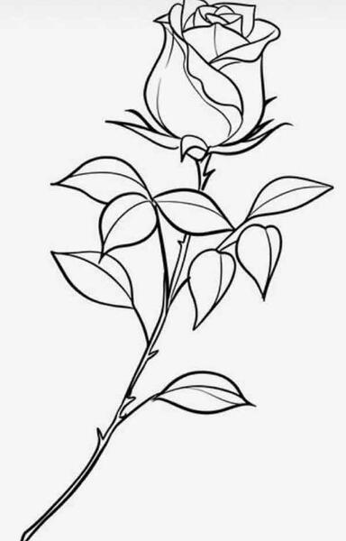 عکس نقاشی دسته گل ساده