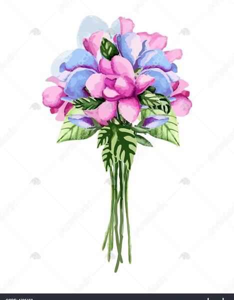 عکس نقاشی دسته گل عروس