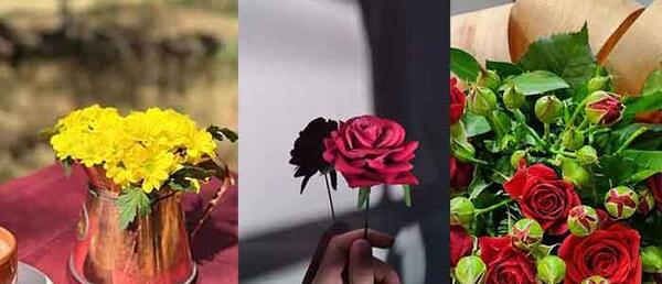 عکس فیک دخترونه با دسته گل