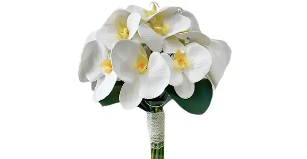 عکس های دسته گل عروس
