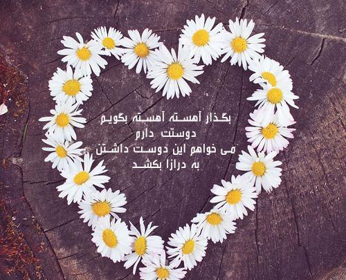 عکس دسته گل با متن عاشقانه