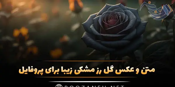عکس دسته گل با متن عاشقانه