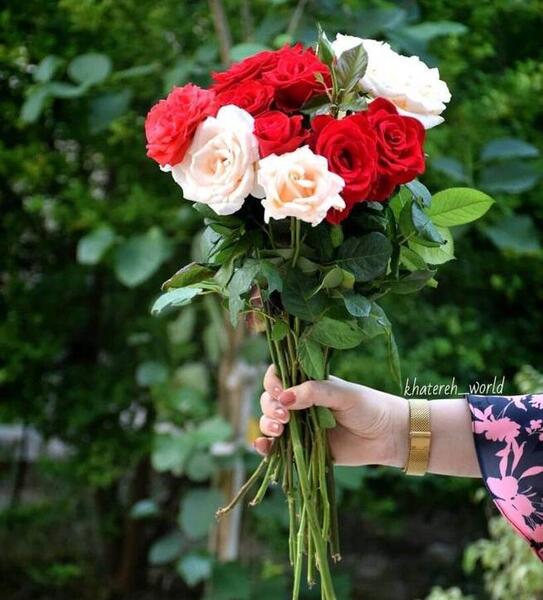 عکس عكس دسته گل طبيعي