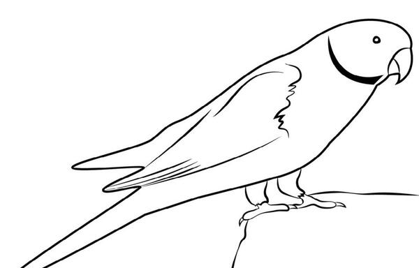عکس نشانه ط دسته دار