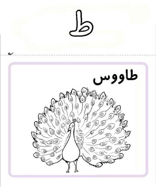 عکس نشانه ط دسته دار