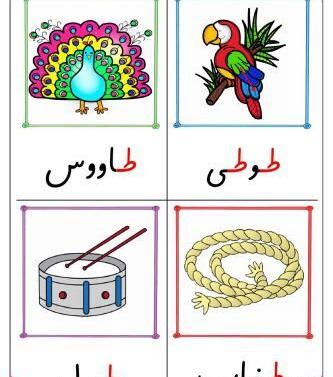 عکس نشانه ط دسته دار
