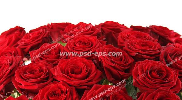 عکس زیبا از دسته گل