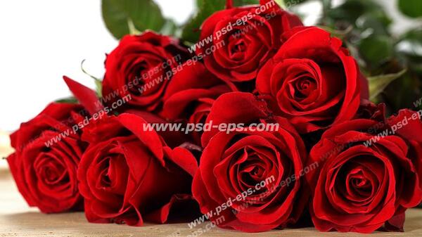 عکس روی دسته گل