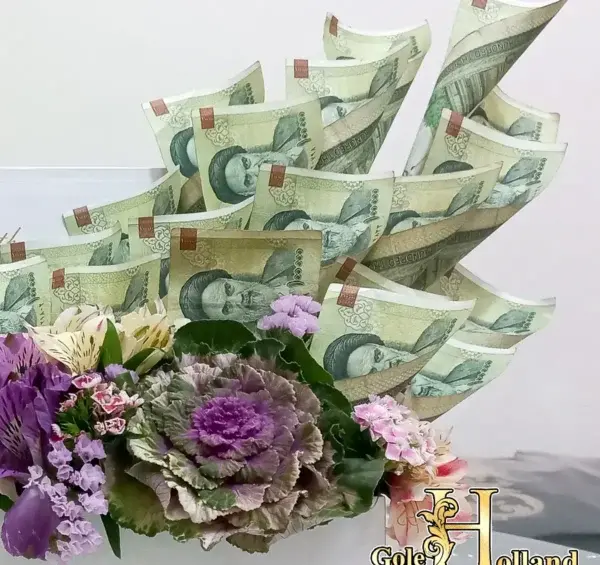 عکس دسته گل با دلار