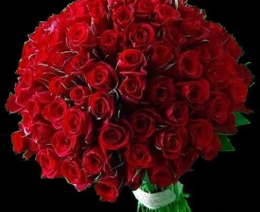 عکس دسته گل خیلی خوشگل