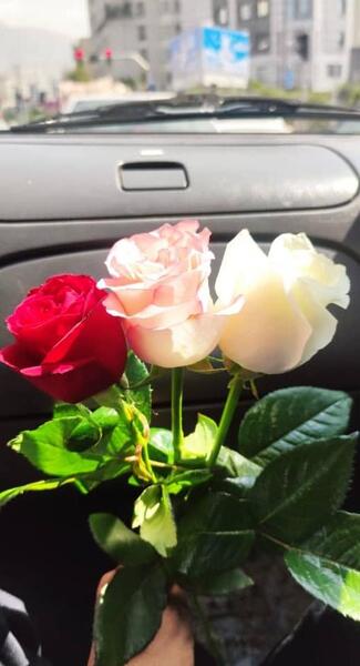 عکس دسته گل توی خونه