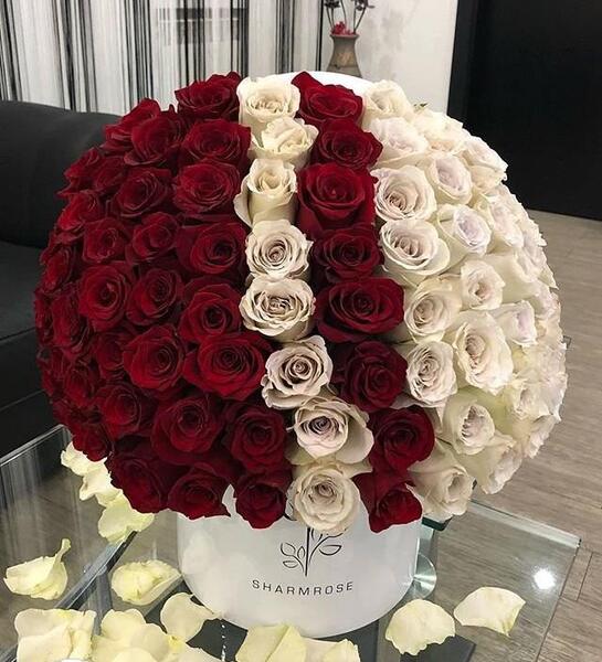 عکس دسته گل توی خونه