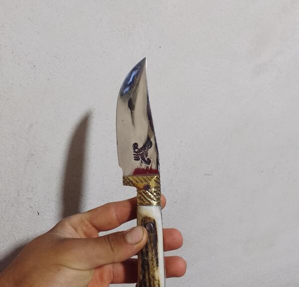 عکس چاقو دسته شاخی