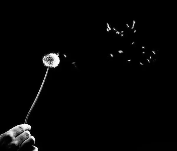 عکس های پروفایل عزاداری