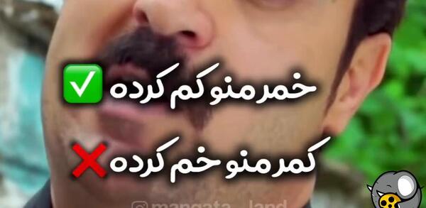 عکس سوتی در پایتخت ۵