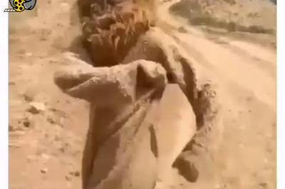 عکس سوتی تعزیه شیر