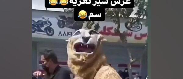 عکس سوتی تعزیه شیر