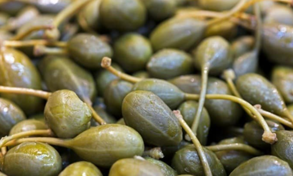عکس میوه سوتی چیست