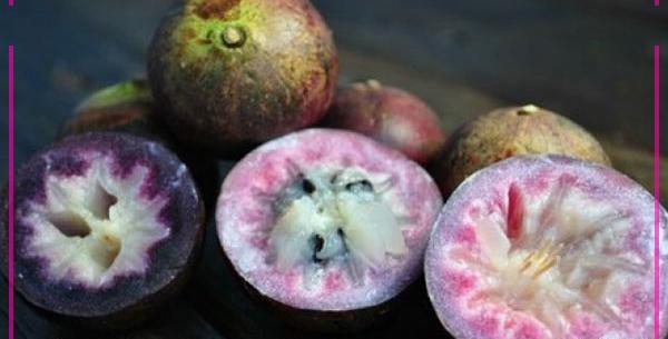 عکس میوه سوتی چیست