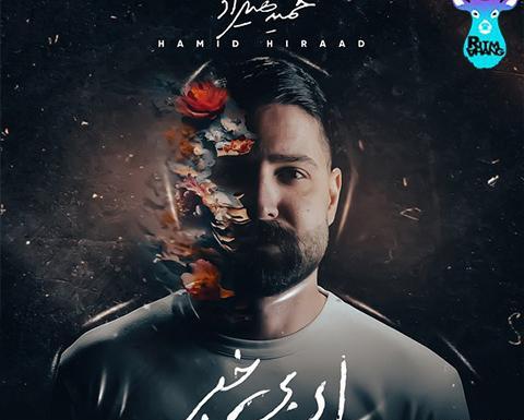 عکس اهنگ ریمیکس سوتی حمید هیراد
