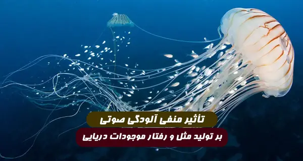 عکس ضرب المثل آلودگی صوتی