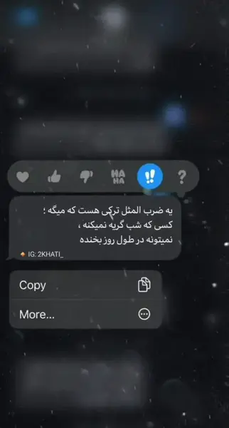 عکس ضرب المثل ترکی صوتی