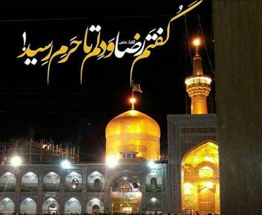عکس عزاداری امام رضا علیه السلام