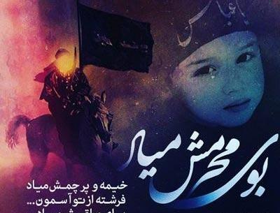 عکس برای آغاز محرم