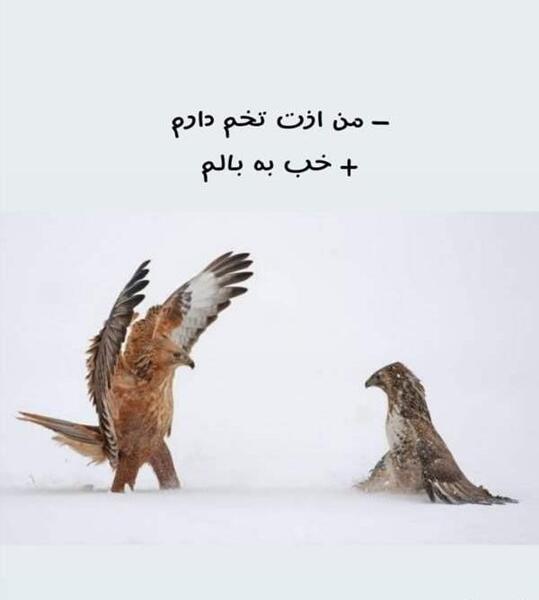 عکس سوتی مصاحبه فرهنگیان نی نی سایت