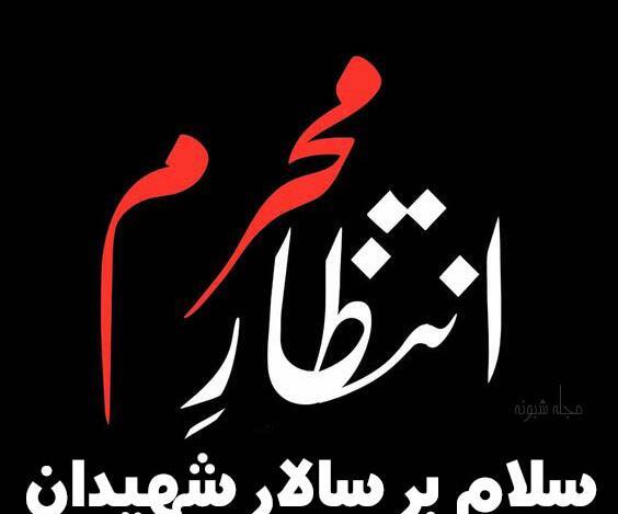 عکس پروفایل برای پیشواز محرم