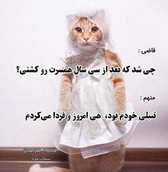 عکس سوتی شب خواستگاری نی نی سایت