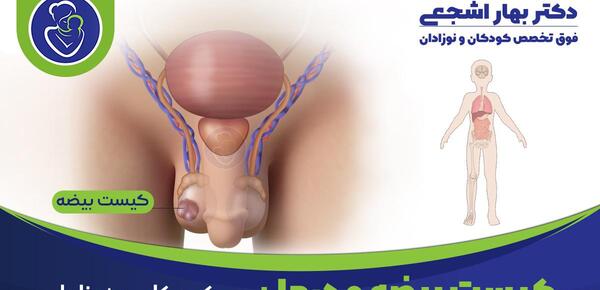 عکس سوتی های زیر نافی نی نی سایت