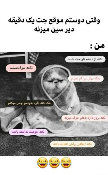 عکس سوتی های خاک بر سری نی نی سایت