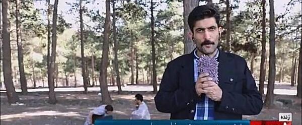 عکس سوتی شبکه کیش فیلم جکی چان اپارات