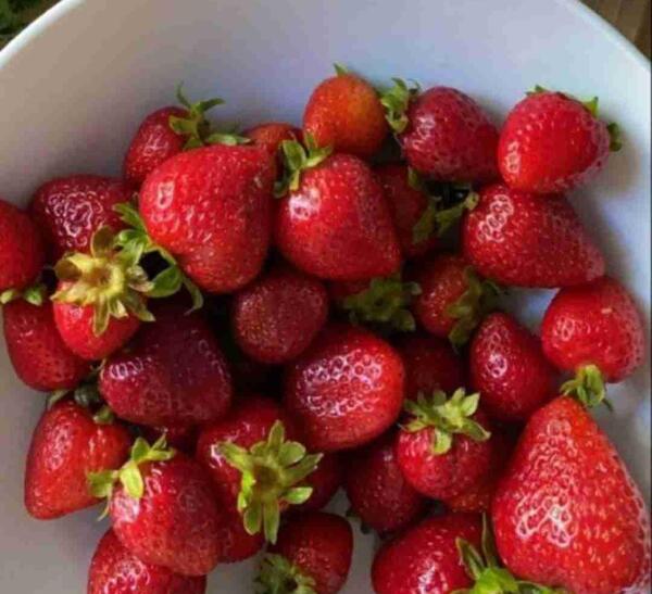 عکس چرا اینجا اینقدر ساکته صوتی ریمیکس