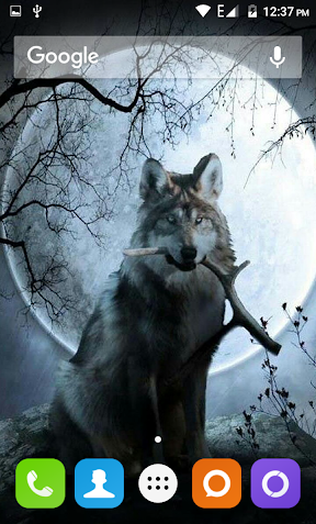 عکس فیلم wolfs