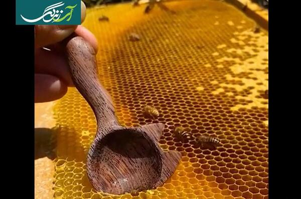 عکس فیلم قاشق طلایی