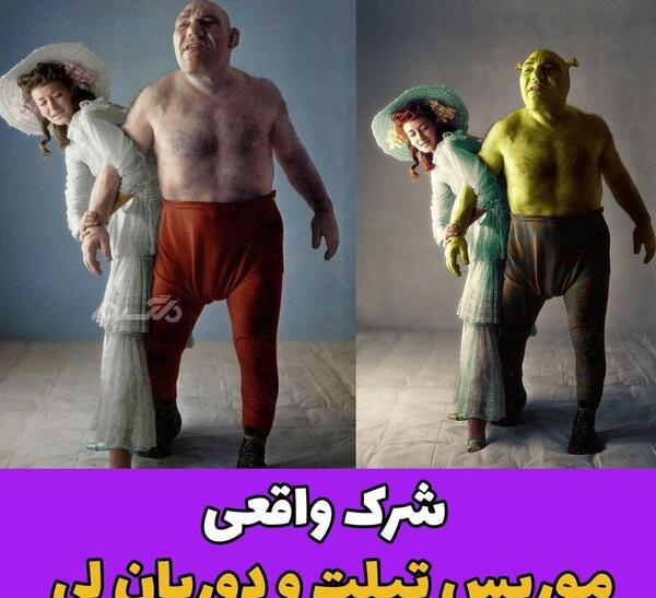 عکس اژدها در فیلم شرک