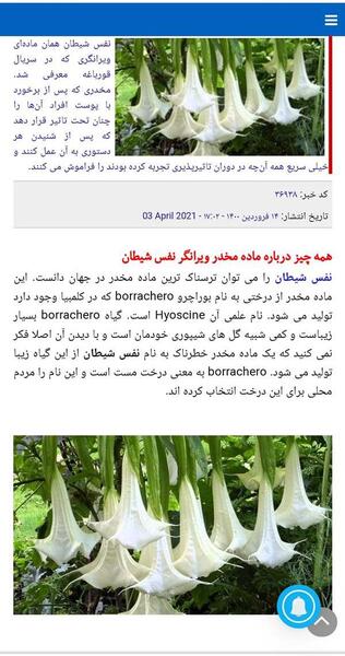 عکس گیاه قورباغه در سریال قورباغه