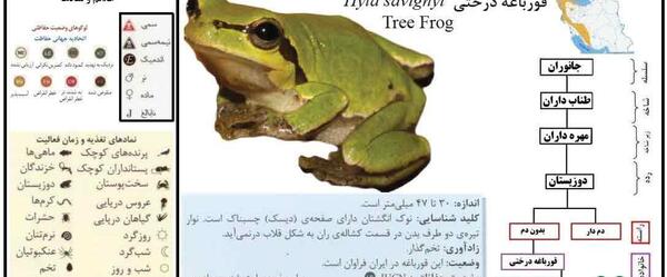 عکس گیاه قورباغه در سریال قورباغه
