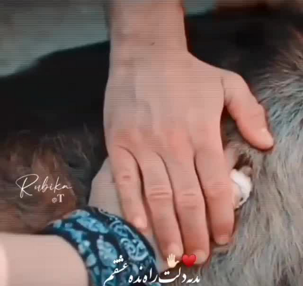 عکس عایشه در سریال زخم قلب