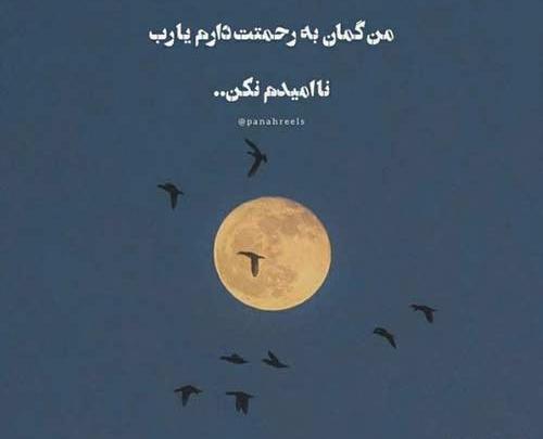 عکس اهنگ سعید حسینی فرشته