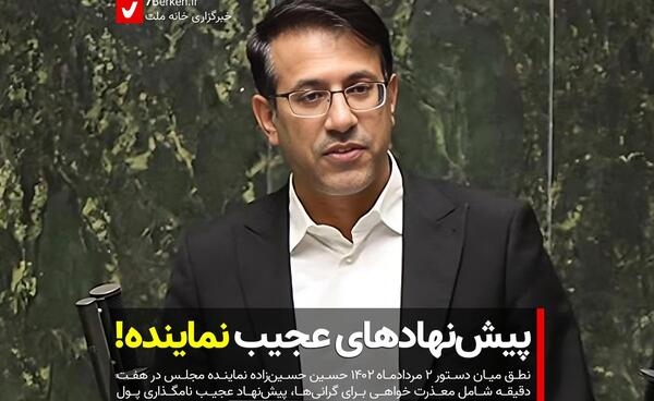 عکس نطق فرشته حسینی نماینده مجلس